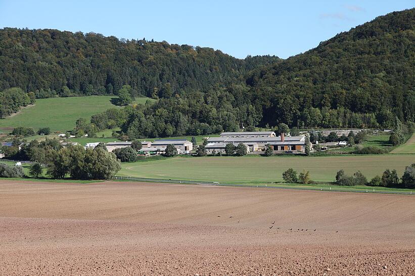 Landwirtschaftlicher Betrieb, Panorama