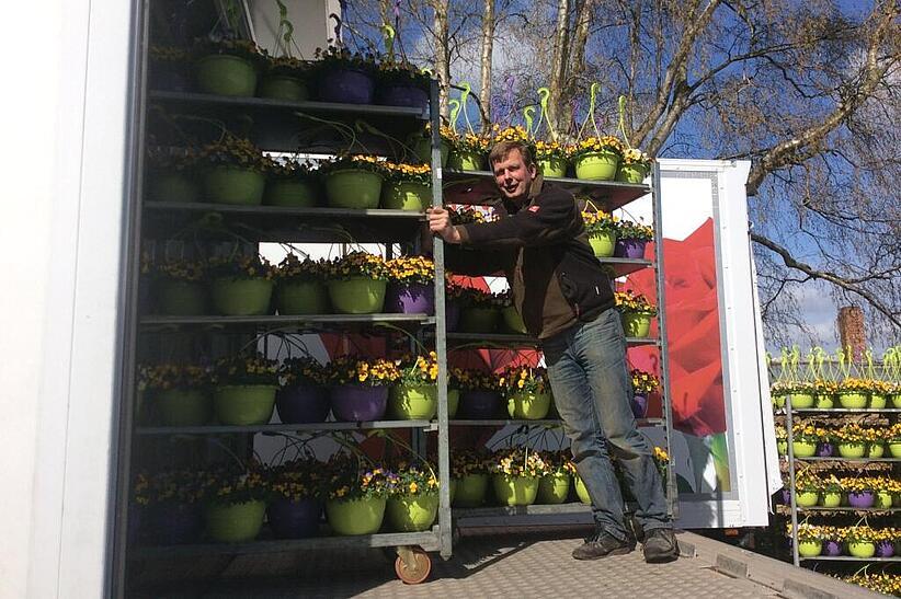 Gartenbaubetrieb, Regale mit Blumen