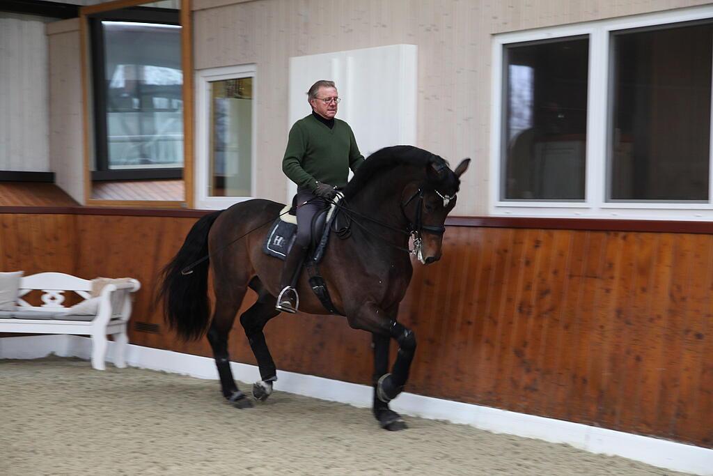 Reiter auf Pferd in Reithalle