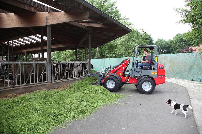 Weidemann 1160 eHoftrac im Einsatz