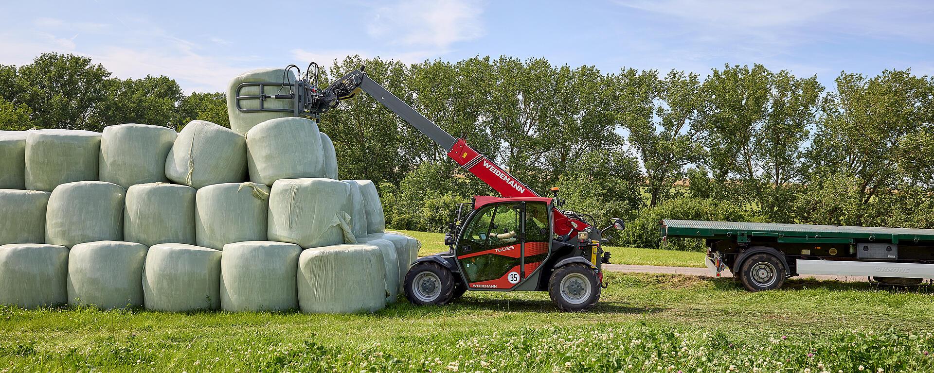 Weidemann telehandler T6025 with round bale tongs in application