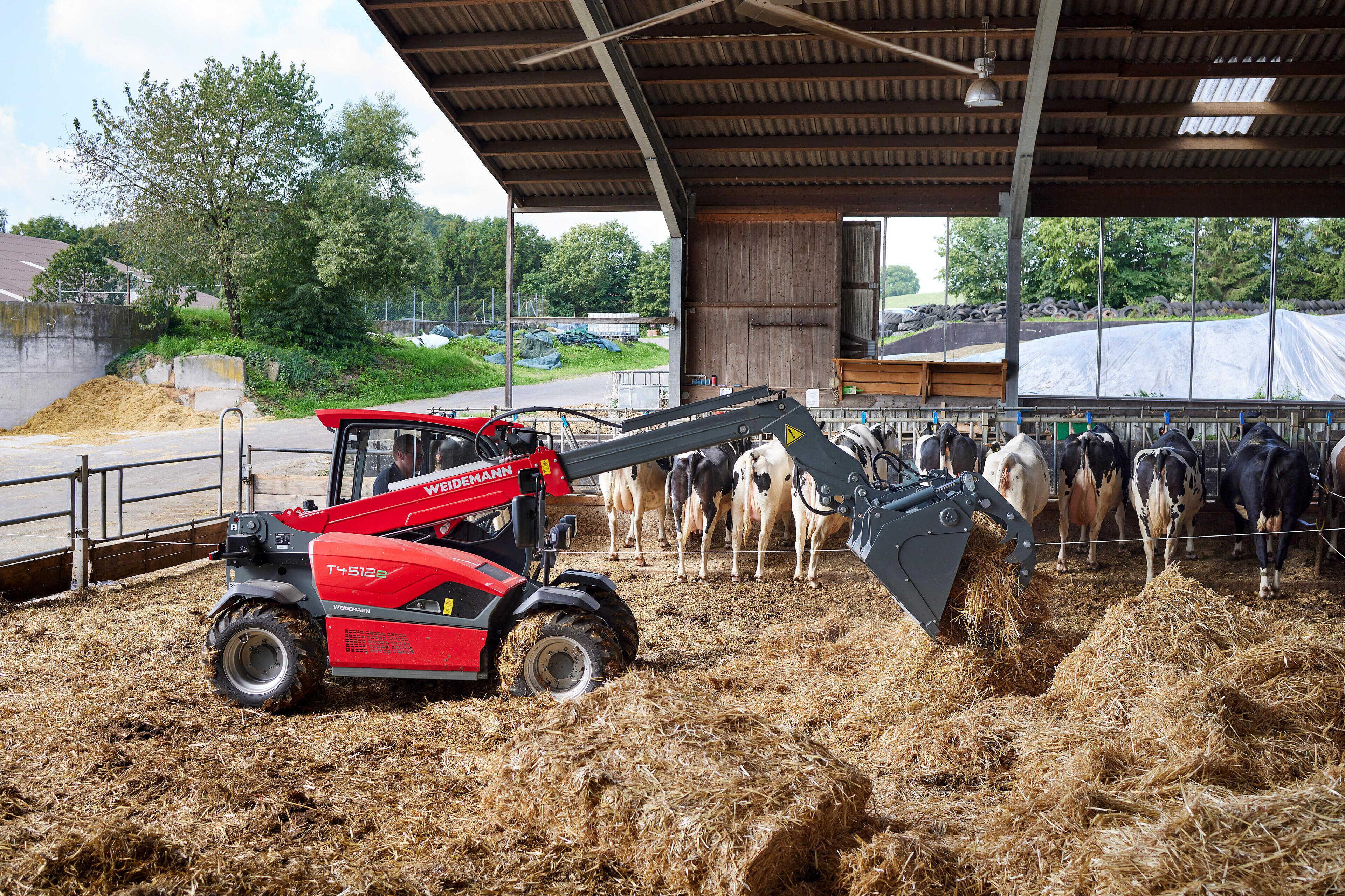 Weidemann Teleskoplader T4512e im Einsatz mit Greifschaufel im Einsatz im Kuhstall