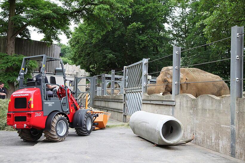 Weidemann 1160 eHoftrac im Einsatz