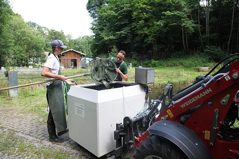 Weidemann 1160 eHoftrac im Einsatz