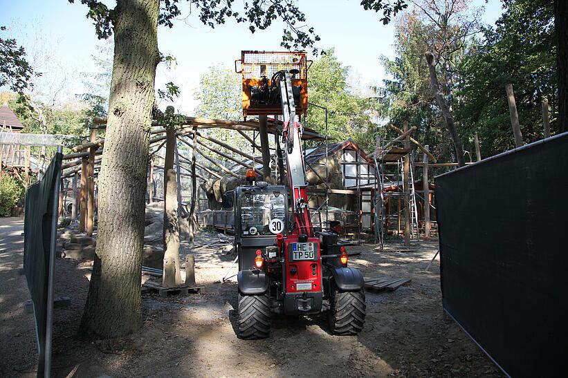 Weidemann Teleskoplader T4512 im Einsatz