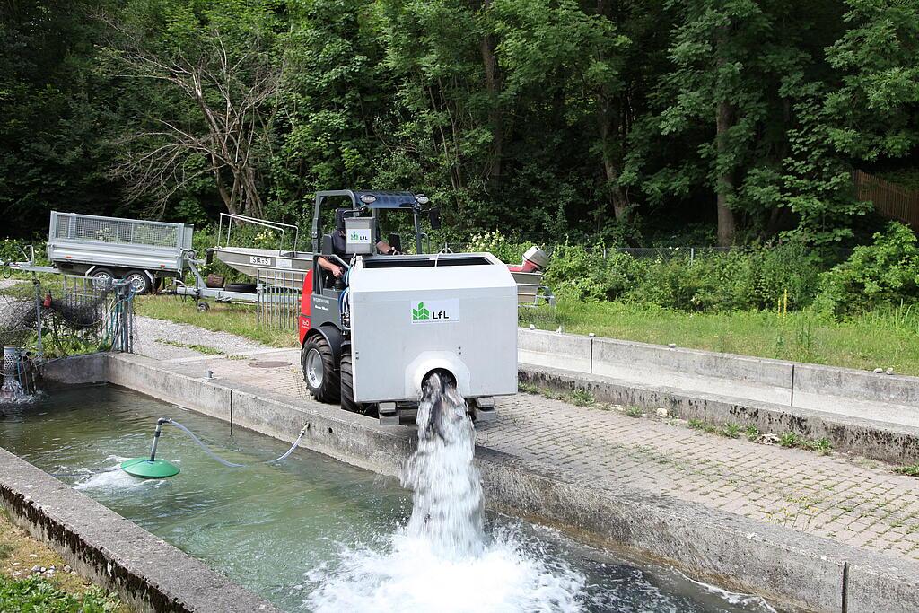 Weidemann 1160 eHoftrac im Einsatz