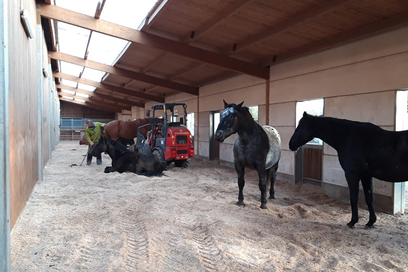 Weidemann 1160 eHoftrac im Einsatz