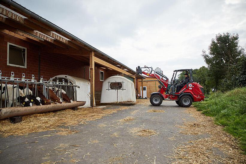 Weidemann Hoftrac 1390 abgeklappten Fahrerschutzdach im Einsatz mit Palettengabel