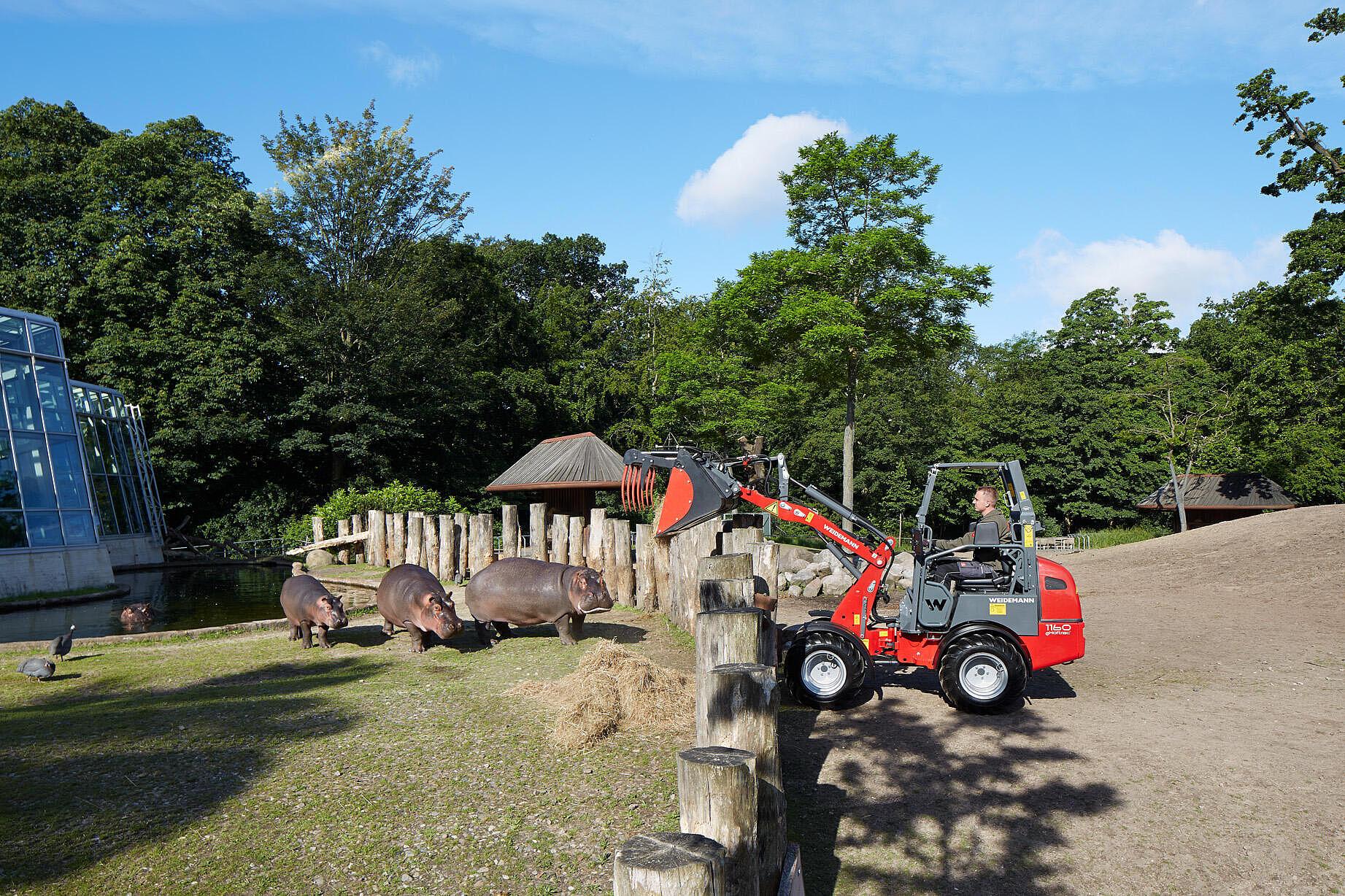 Weidemann Hoftrac 1160e en action